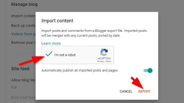 Blogger Import Content Setting