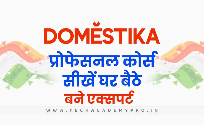 Domestika Learning Platform in Hindi