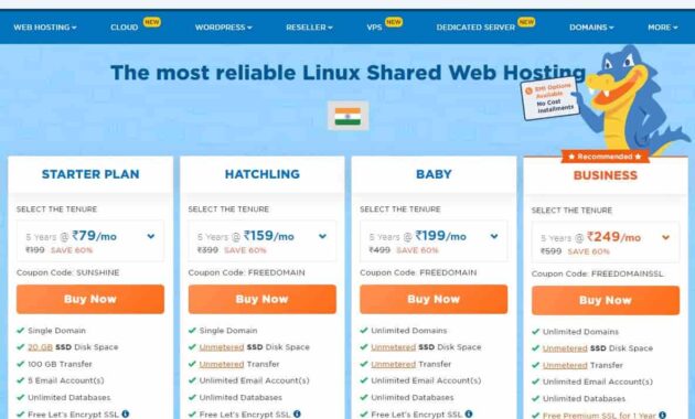 Buy Web Hosting in Hindi