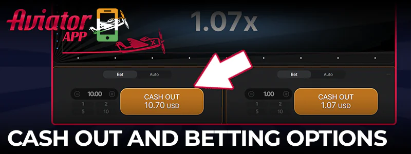 Payout and betting options in the Aviator game