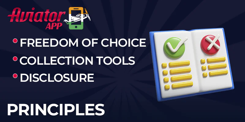Principles of Aviator-apps website